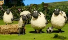 小羊出轨爆料视频播放,小羊背叛真相大揭秘